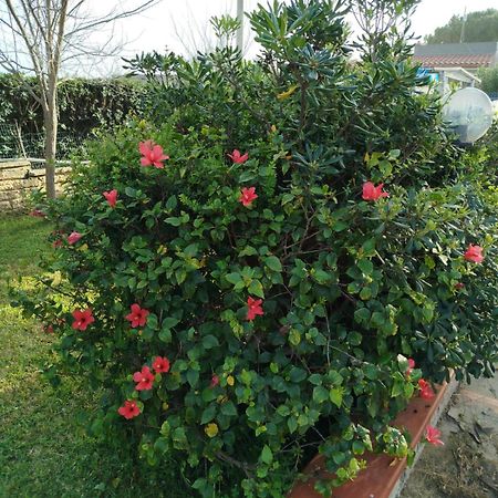 Holiday Home Riserva Marina Protetta Συρακούσες Εξωτερικό φωτογραφία